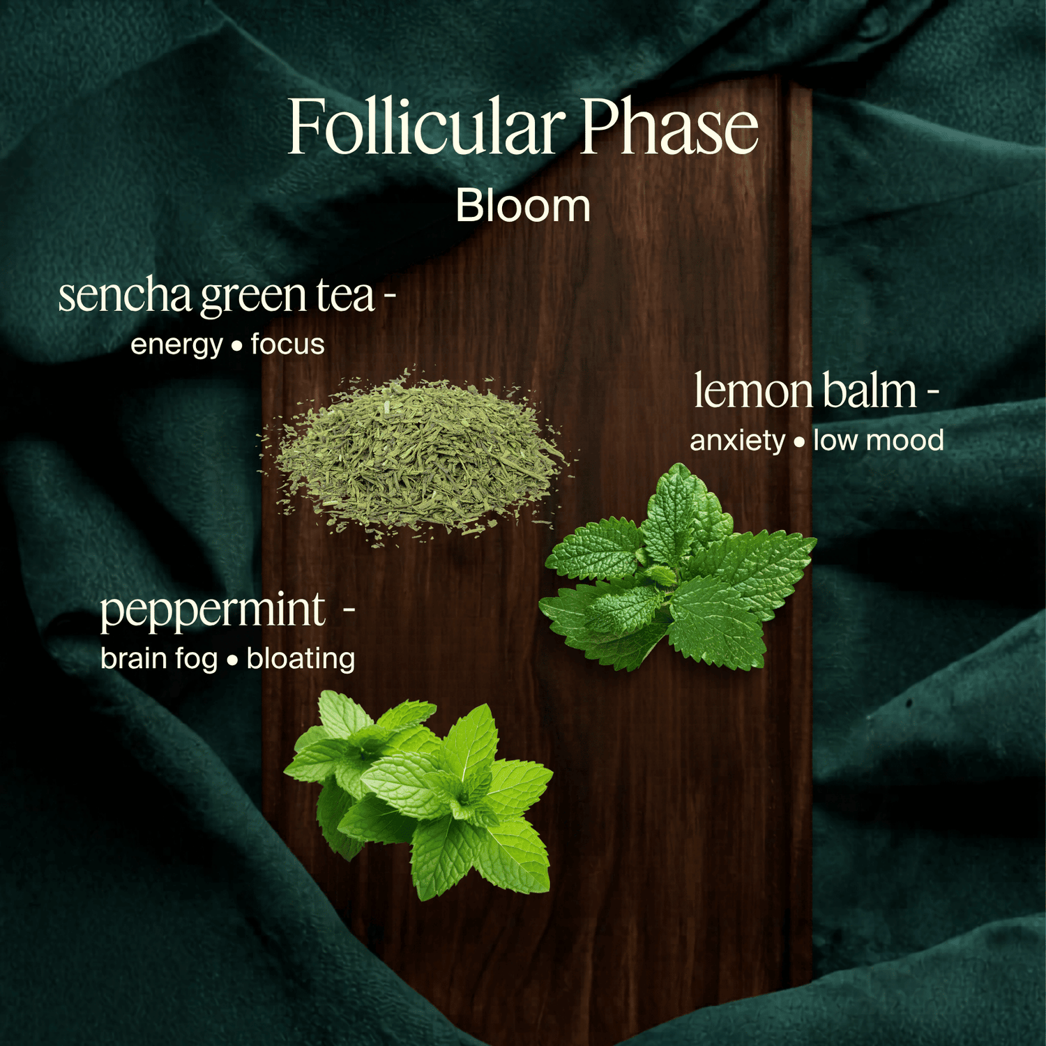 Mosha Cha™ - Cycle Syncing Tea Kit™ - Mosha