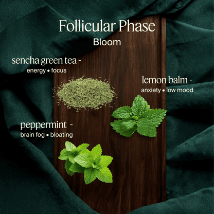 Mosha Cha™ - Cycle Syncing Tea Kit™ - Mosha
